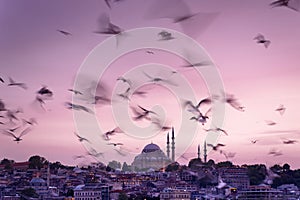 Istanbul cityscape - panoramic scenic view of Suleymaniye Mosque with flock of birds at sunset. Silhouettes of minarets on sunset