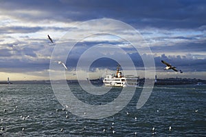Istanbul ferries and seagulls photo