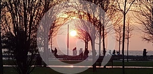 Istanbul, people and trees at sunset