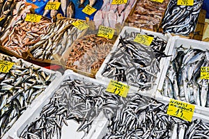 Istanbul, Turkey, 20.12.2019: Fresh seafood on the counter top of the fish market, for sale