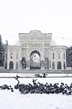 ISTANBUL, TURKEY - JANUARY 18, 2021: main entrance gate of Istanbul University.