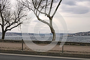 Bosphorus and Marmara sea view in winter and cloudy weather from Sarayburnu district in istanbul photo