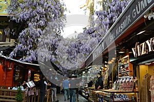 Street in Ortakoy,Istanbul with purple flower roof in spring,shops and cafes.