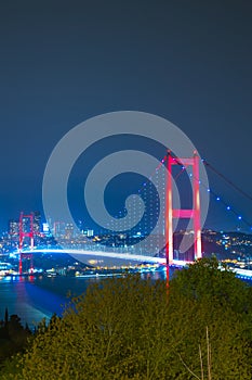 Istanbul vertical photo. Bosphorus Bridge view at night.