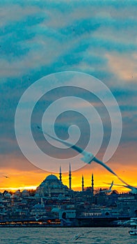 Istanbul vertical photo. Seagull and Suleymaniye Mosque at sunset.