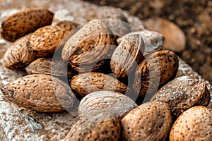 Istrian Almonds