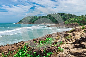 Itacare nature and beach in Bahia