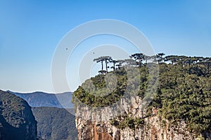 Itaimbezinho Canyon at Aparados da Serra National Park - Cambara do Sul, Rio Grande do Sul, Brazil photo