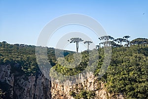 Itaimbezinho Canyon at Aparados da Serra National Park - Cambara do Sul, Rio Grande do Sul, Brazil photo