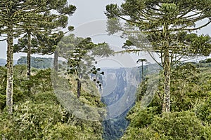 Itaimbezinho canyon at the Aparados da Serra National Park. photo