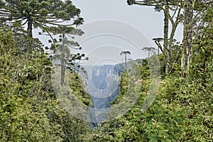 Itaimbezinho canyon at the Aparados da Serra National Park. photo