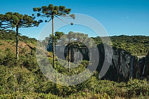 Itaimbezinho Canyon with cliffs and waterfall