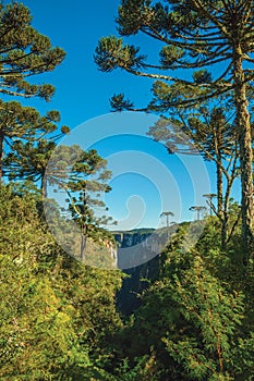 Itaimbezinho Canyon with rocky cliffs and forest