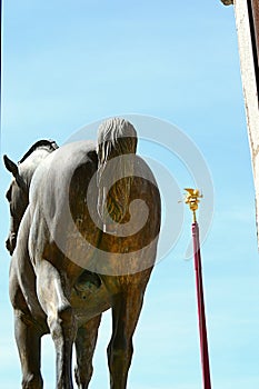 Italia, ltaly, Venezia, Piazza, Basilica di San Marco, Campanile, square, into the sky, horse figure,