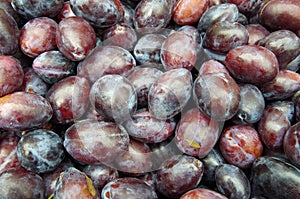 Italia plums