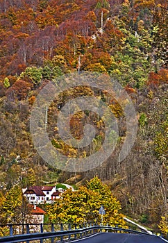 Italian Alps, autumn colors