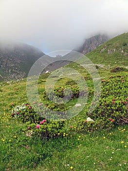 Italian alps; Rifugio Osp. Sottile