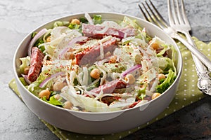 Italian American salad of salami, chickpeas, iceberg and romaine lettuce, mozzarella, onions close-up in a bowl. Horizontal photo
