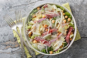 Italian American salad of salami, chickpeas, iceberg and romaine lettuce, mozzarella, onions close-up in a bowl. Horizontal top photo