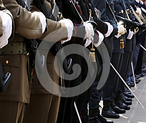 Italian armed forces with Alpine troops and the police