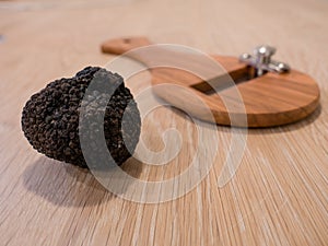 Italian Black Summer Truffle photo