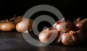 Italian borettane onions with black backgound