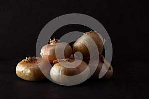 Italian borettane onions with black backgound