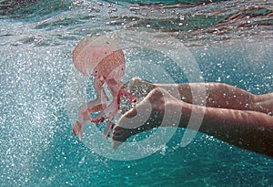 Italian boy swimming in the sea accidentally touches a jellyfish photo