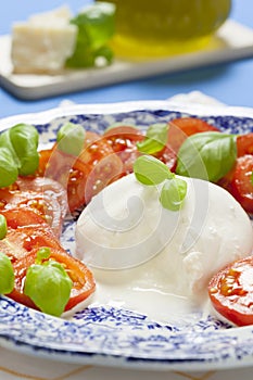 Italian Burrata Cheese