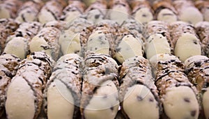 Italian cannoli with ricotta cheese