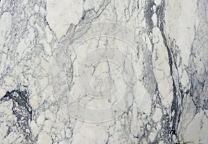 Italian Carrara marble detail photo