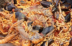 Italian Cavatelli allo scoglio, pasta with seafood and tomatoes close up in a frying pan