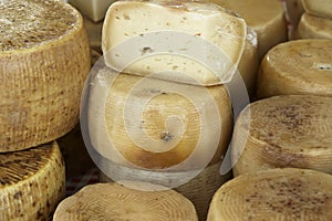 Italian cheese