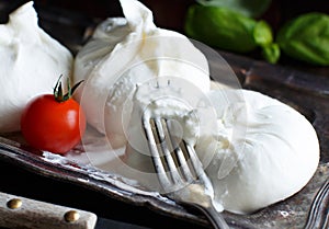 Italian cheese burrata