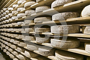 Italian cheese cellar in mountain farm