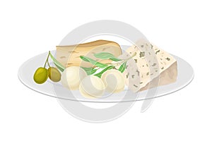 Italian Cheese Slabs Rested on Plate with Olives Vector Illustration