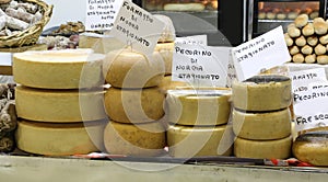 italian cheese with text PECORINO that means cheese made with mi photo