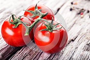 Italian ciusine.Cerry tomato