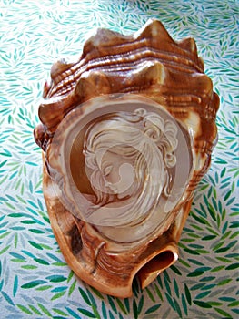 Italian Conch Sea Shell with Cameo