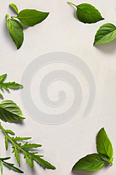 A italian cooking background old parchment with fresh leaves Basil and arugula