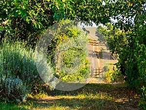 Italian countryside