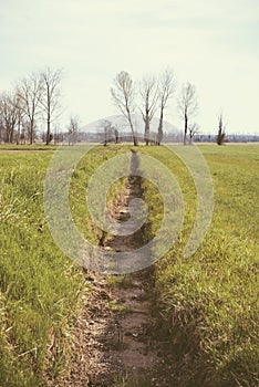 Italian countryside