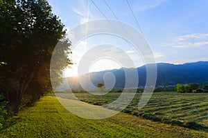 Italian countryside landscape