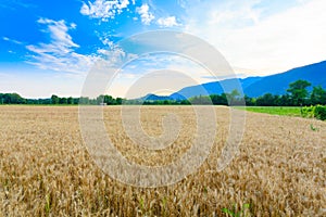 Italian countryside landscape