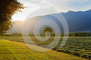 Italian countryside landscape