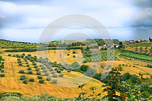 Italian Countryside In The Summer