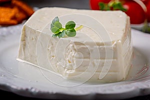 Italian cowâ€™s-milk cheese - Stracchino
