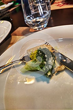 Italian Cuisine Broccoli in White Sauce on White Plate on Dining Table