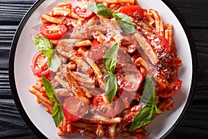 Italian cuisine, classic pasta recipe with tomato sauce, parmesan cheese and basil close-up on a plate. horizontal top view