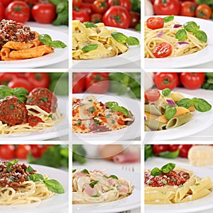 Italian cuisine collection of spaghetti pasta noodles food meals